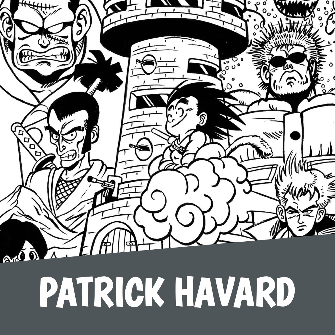 BD au Château d'Aigle, Patrick Havard